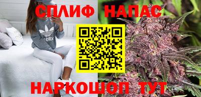 гидра Дубна